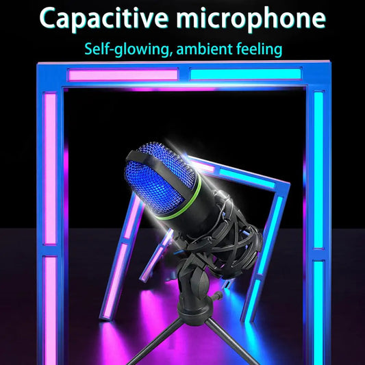 Convenient Omni directional Mic